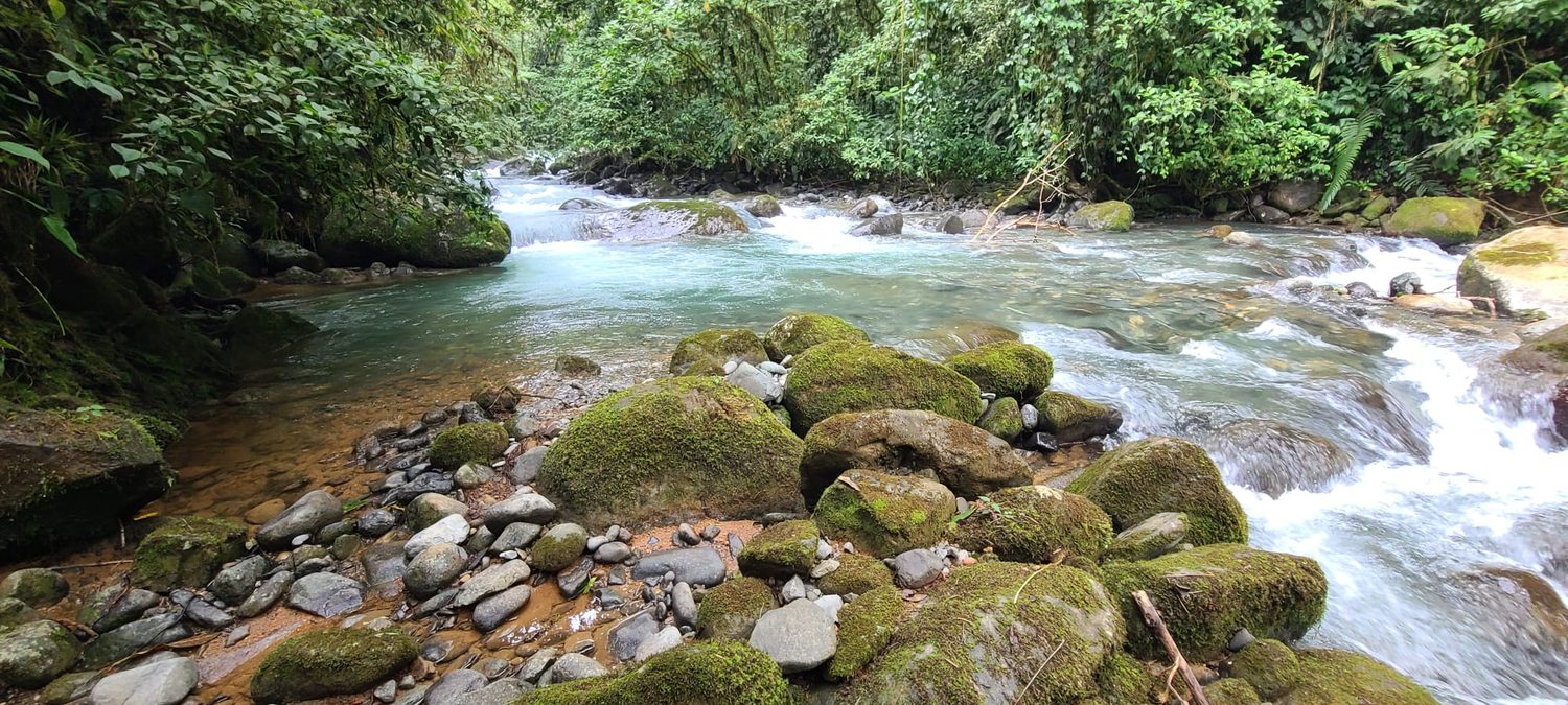 A traveler immersed in a turquoise jungle river, arms open